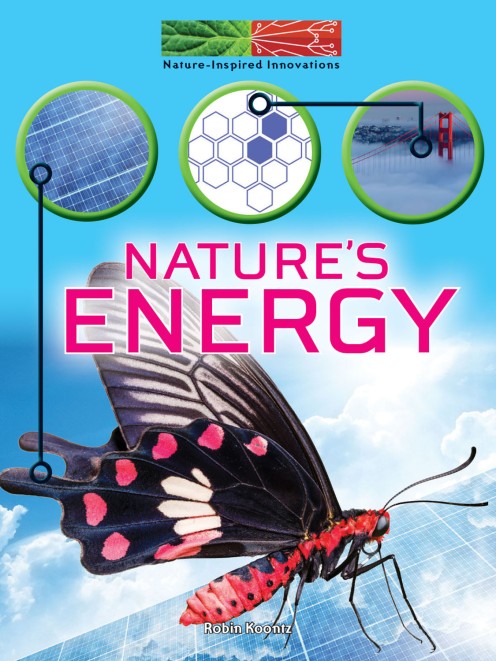 nature's energy_cov